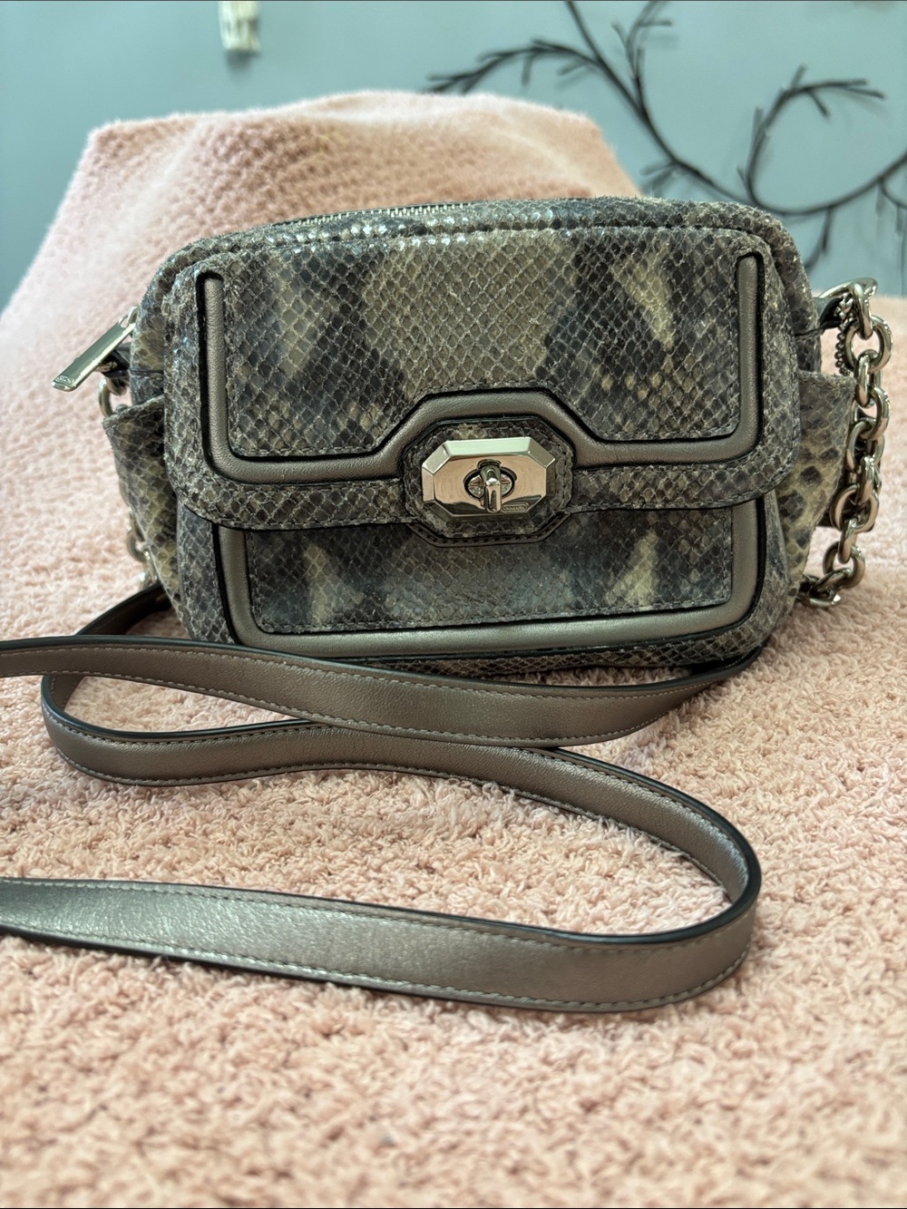 Coach Women’s Snake-Embossed Crossbody Bag in Gray